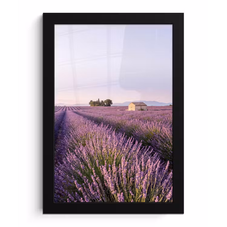 Poster met lijst - Lavendel - Landschap - Sereen - Paars — 1
