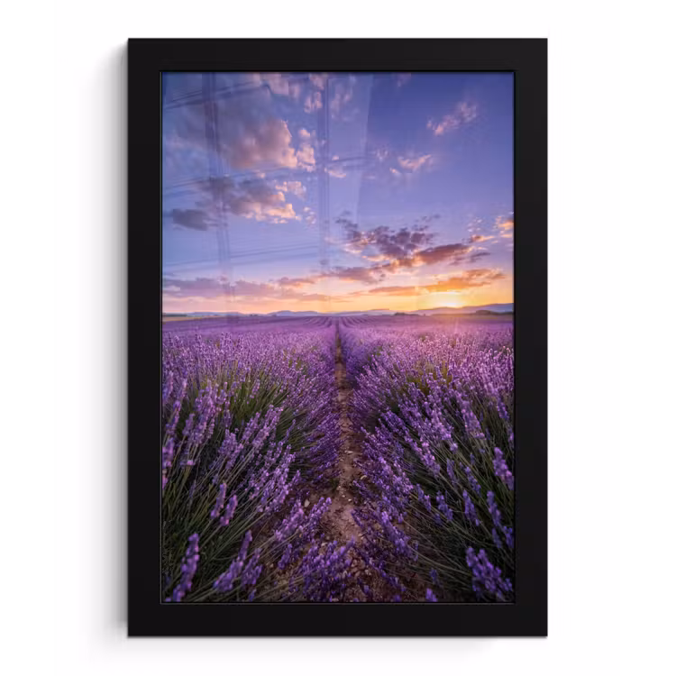 Poster met lijst - Lavendel - Veld - Natuur - Paars — 1