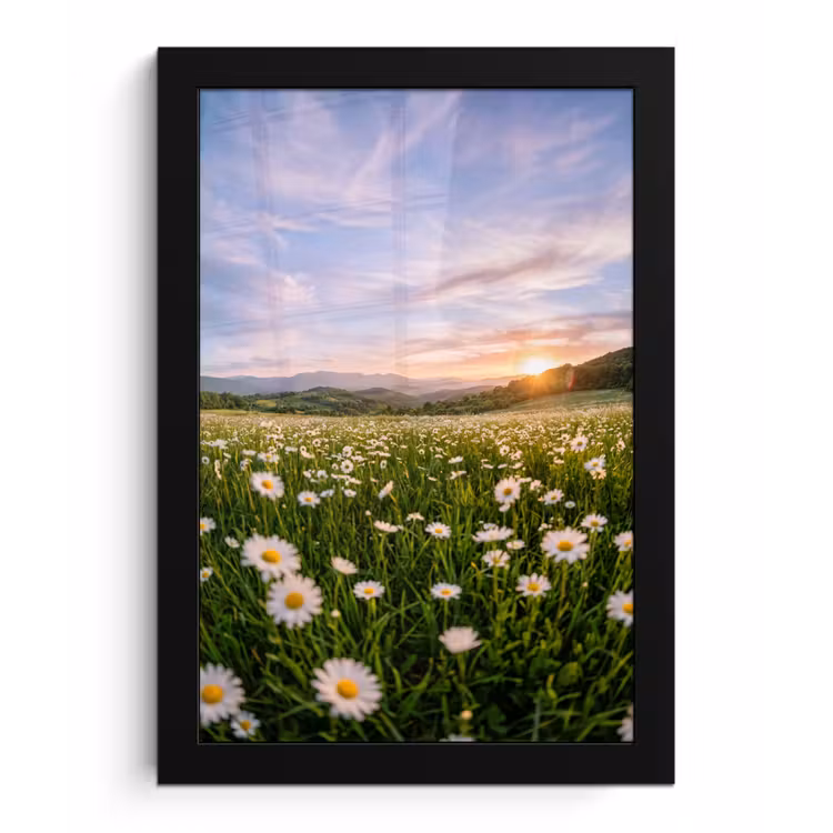 Poster met lijst - Madelief - Veld - Heuvels - Groen — 1