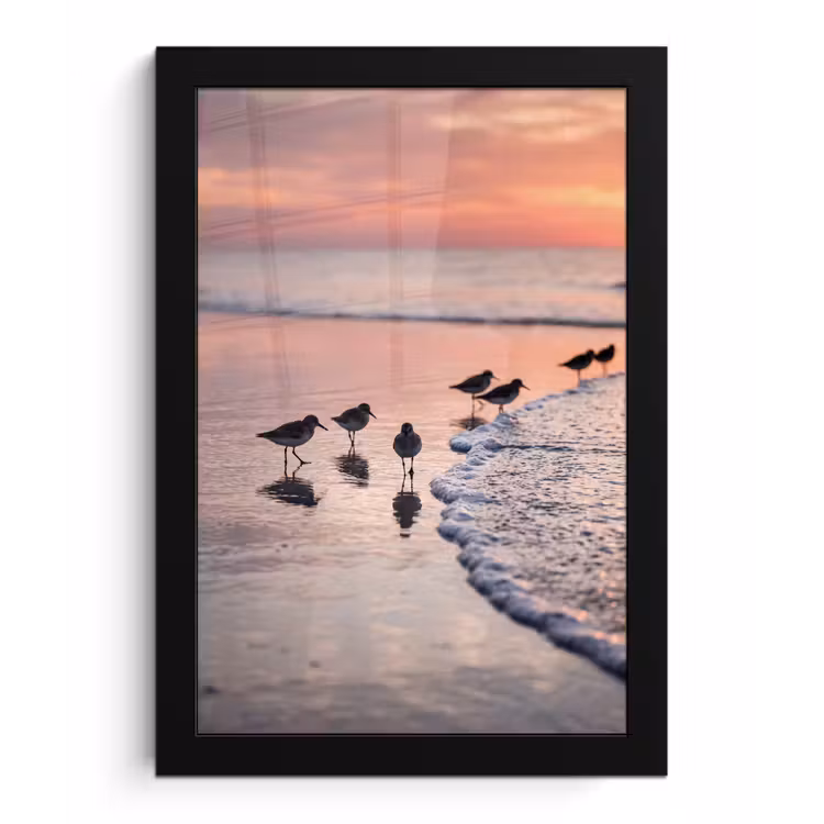 Poster met lijst - Meeuwen - Strand - Zee - Roze — 1