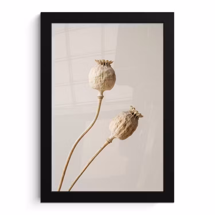 Poster met lijst - Papaverbollen - Droogbloemen - Minimalistisch - Beige - Rustig — 1