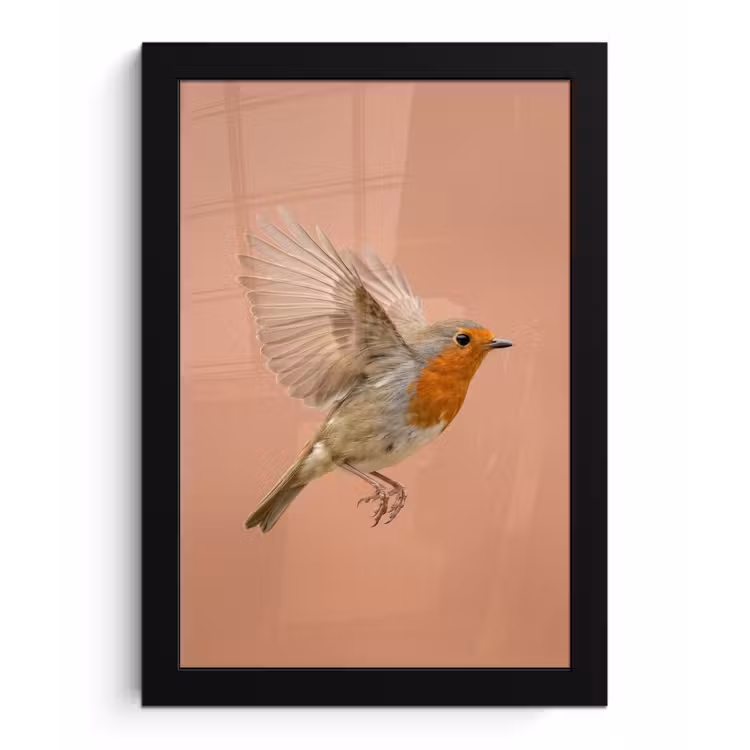 Poster met lijst - Roodborst - Natuur - Roze — 1