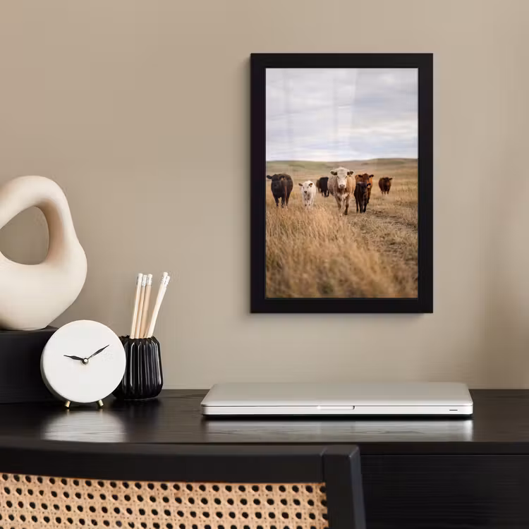 Poster met lijst - Runderen - Kudde - Landschap - Weide - Rustig — 3