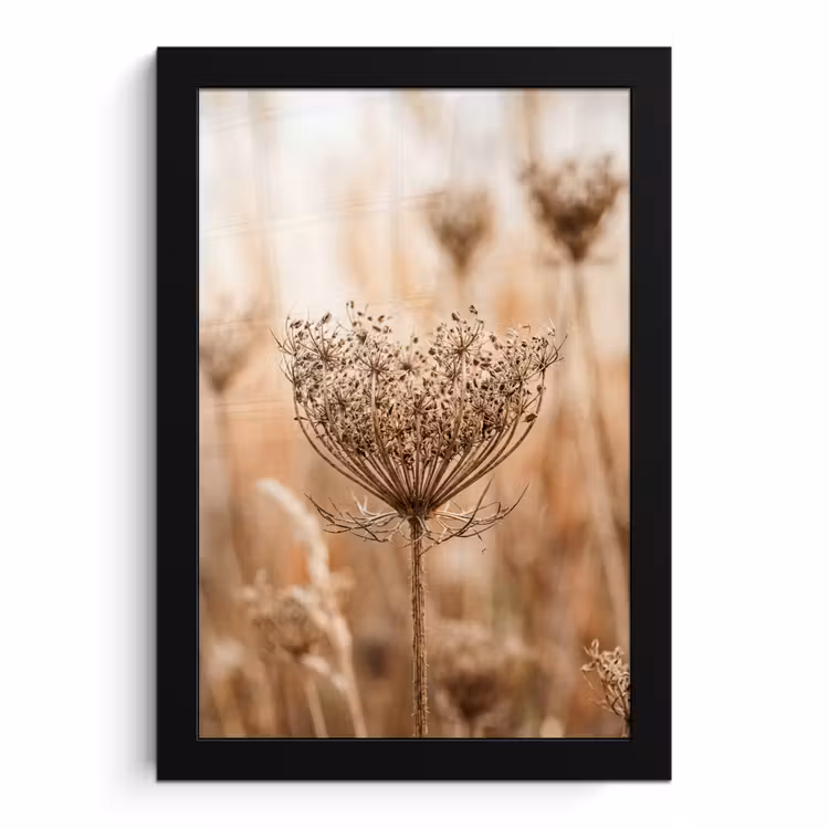 Poster met lijst - Schermbloem - Droogbloem - Winter - Beige - Minimalistisch — 1