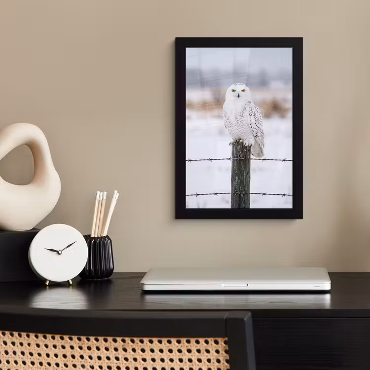 Poster met lijst - Sneeuwuil - Hek - Sneeuw - Wit — 3