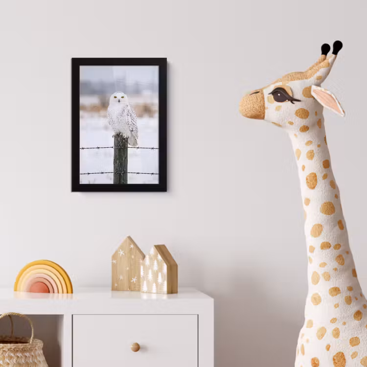 Poster met lijst - Sneeuwuil - Hek - Sneeuw - Wit — 5