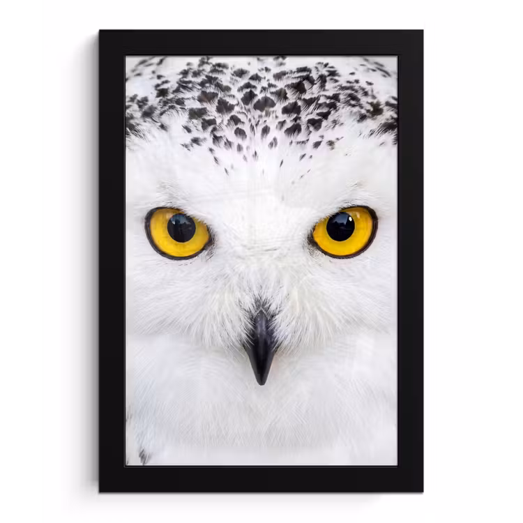 Poster met lijst - Sneeuwuil - Portret - Geel — 1