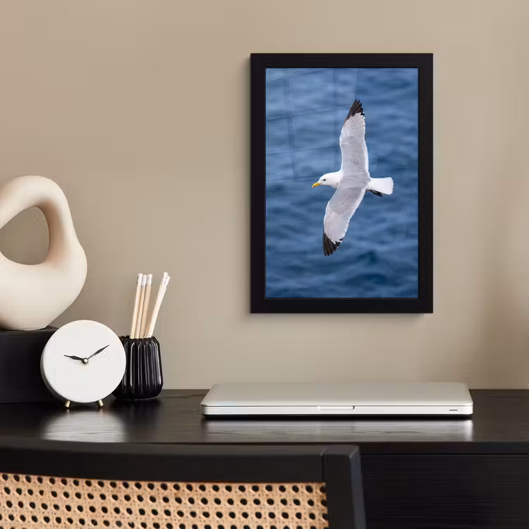 Poster met lijst - Zeemeeuw - Oceaan - Blauw — 3