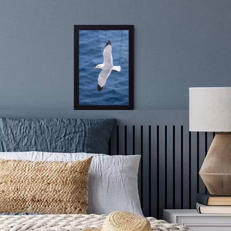 Poster met lijst - Zeemeeuw - Oceaan - Blauw — 4