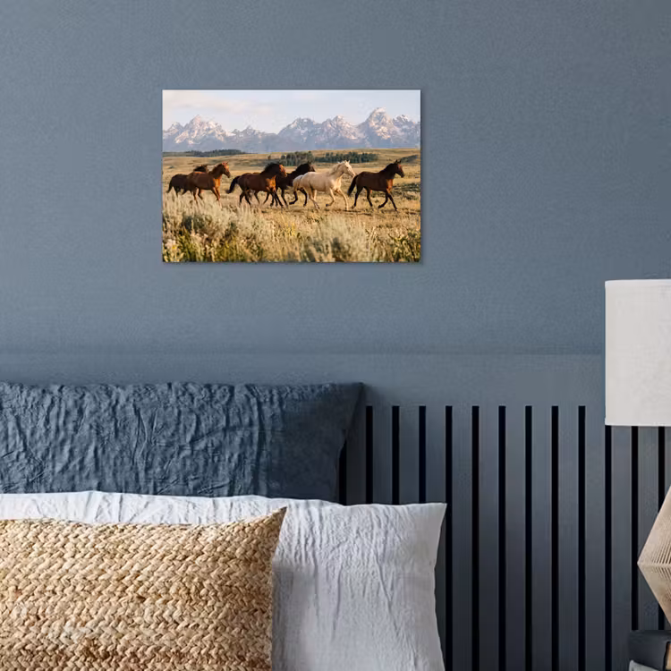 Poster - Paarden - Kudde - Bergen - Vrijheid - Wild — 3