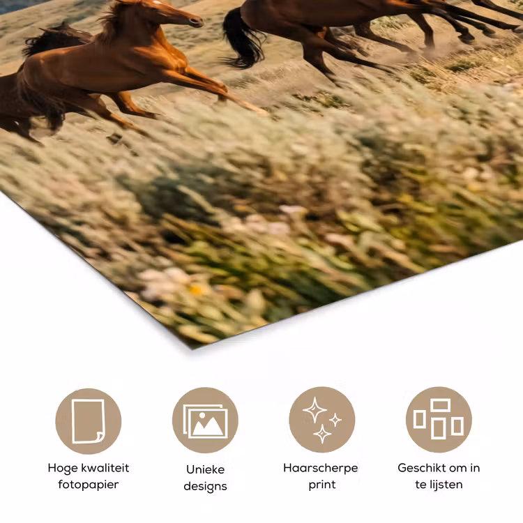 Poster - Paarden - Kudde - Bergen - Vrijheid - Wild — 5
