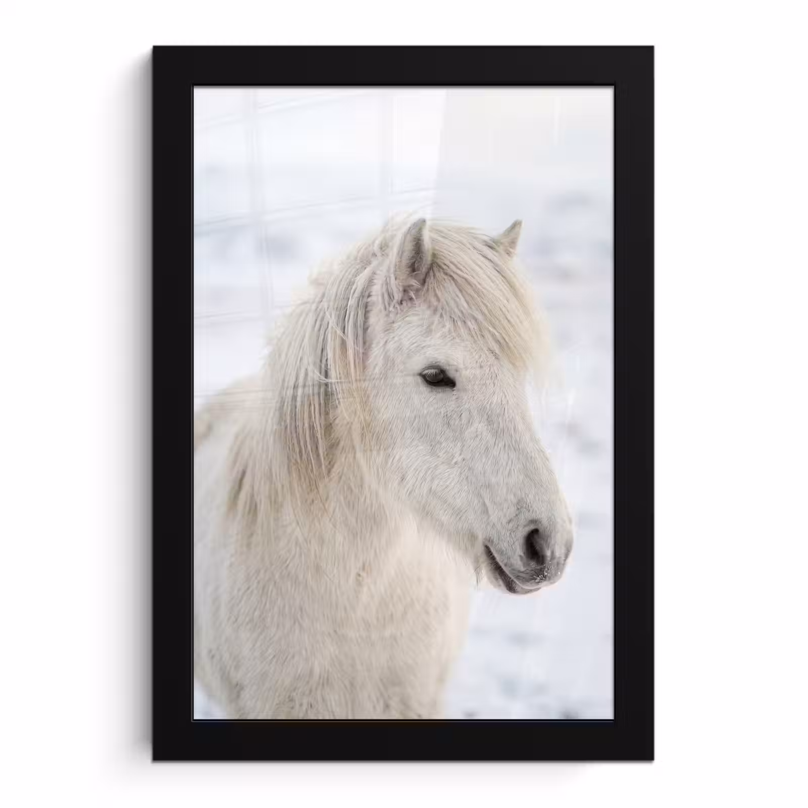 Poster met lijst - Paard - Kop - Winter - Dieren - Wit — 1