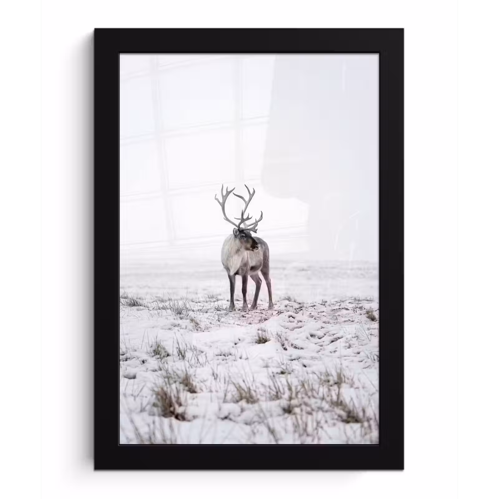 Poster met lijst - Rendier - Gewei - Sneeuw - Winter — 1