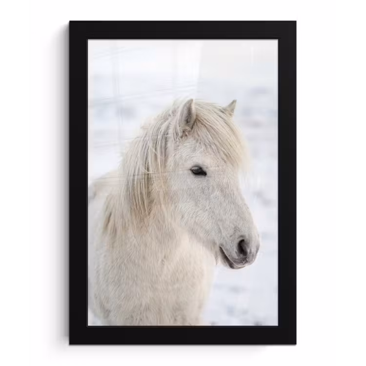 Poster met lijst - Paard - Kop - Winter - Dieren - Wit — 1