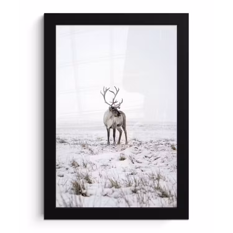 Poster met lijst - Rendier - Gewei - Sneeuw - Winter — 1