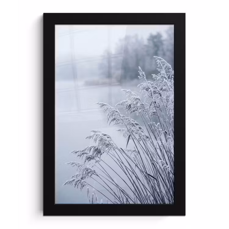 Poster met lijst - Riet - Bevroren - Winter - Natuur — 1