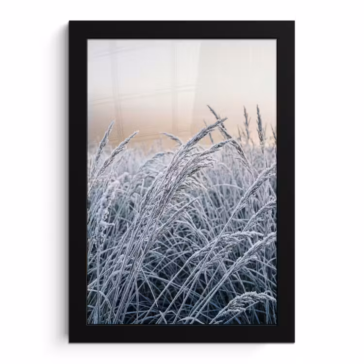 Poster met lijst - Rijp - Gras - Kristallen - Winter - Minimalistisch — 1