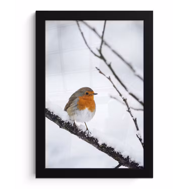 Poster met lijst - Roodborstje - Tak - Sneeuw - Winter - Levendig — 1