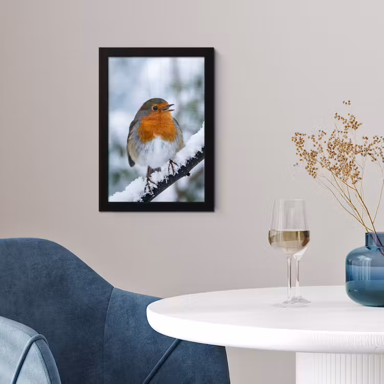 Poster met lijst - Roodborstje - Tak - Sneeuw - Winter - Levendig — 2