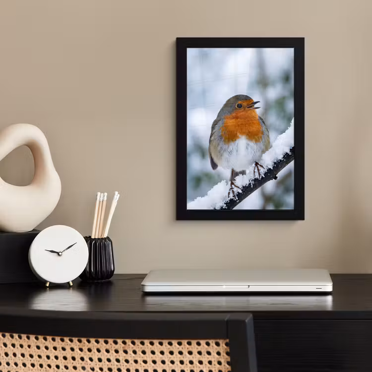 Poster met lijst - Roodborstje - Tak - Sneeuw - Winter - Levendig — 3
