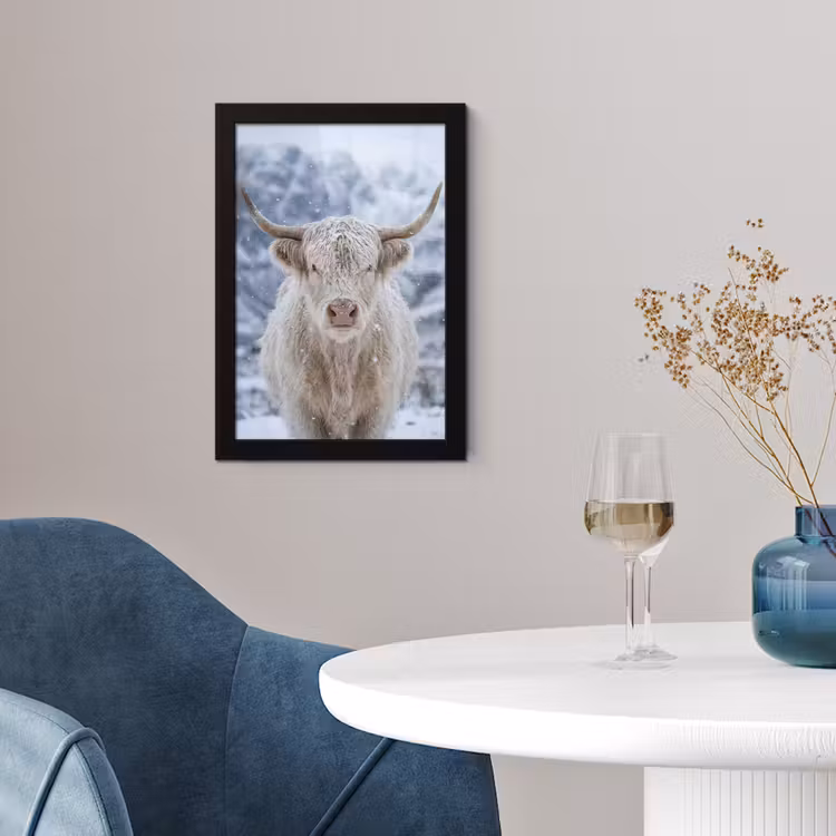 Poster met lijst - Schotse Hooglander - Sneeuw - Bergen - Winter — 2