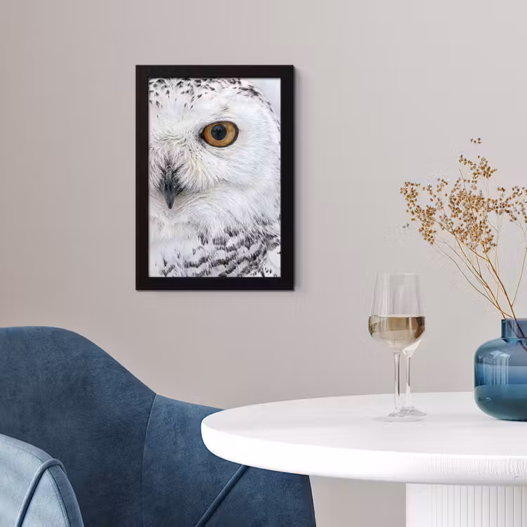 Poster met lijst - Sneeuwuil - Oog - Wildlife - Wit — 2