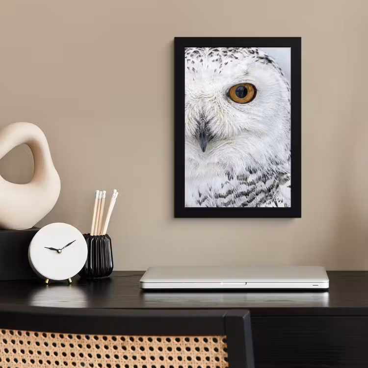 Poster met lijst - Sneeuwuil - Oog - Wildlife - Wit — 3