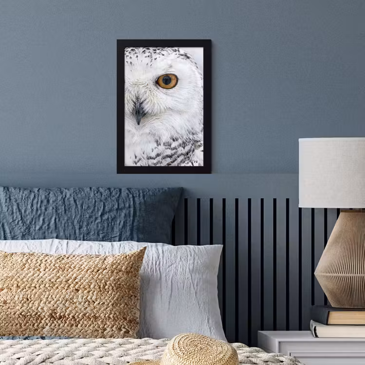 Poster met lijst - Sneeuwuil - Oog - Wildlife - Wit — 4