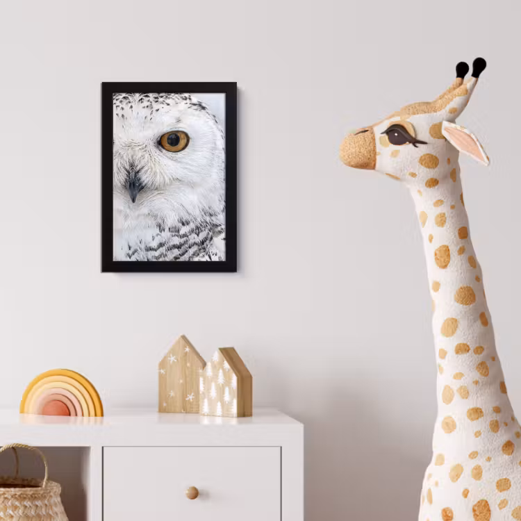 Poster met lijst - Sneeuwuil - Oog - Wildlife - Wit — 5