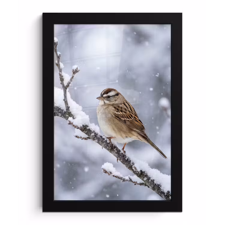 Poster met lijst - Vogel - Tak - Sneeuw - Winter — 1