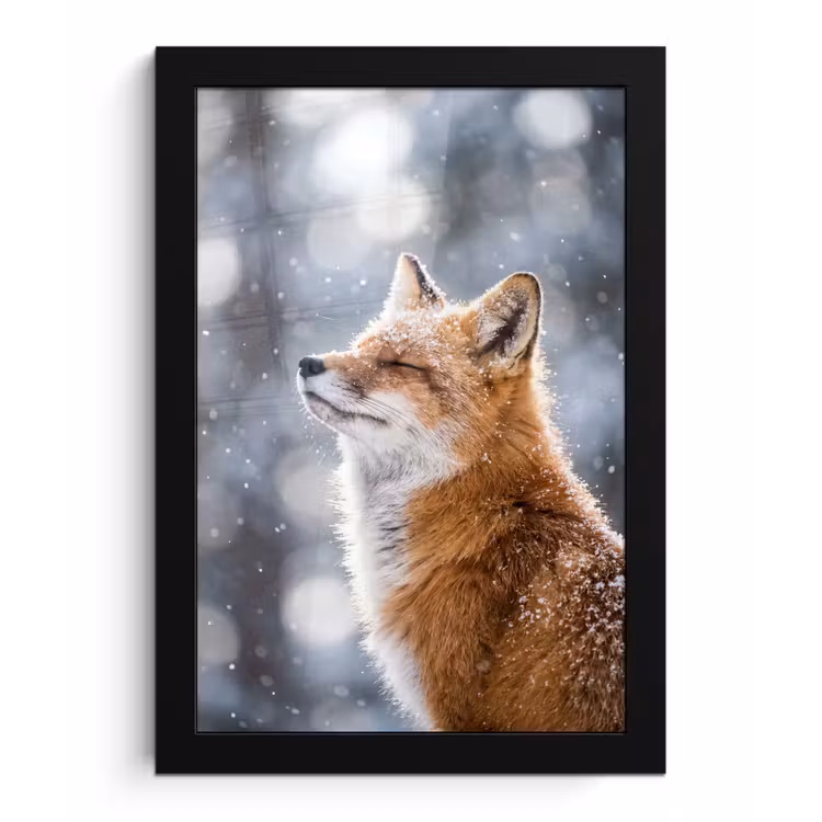 Poster met lijst - Vos - Sneeuwval - Portret - Winter - Sfeervol — 1