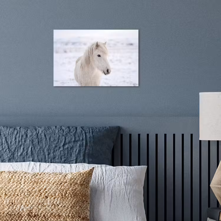 Poster - Paard - Kop - Winter - Dieren - Wit — 3