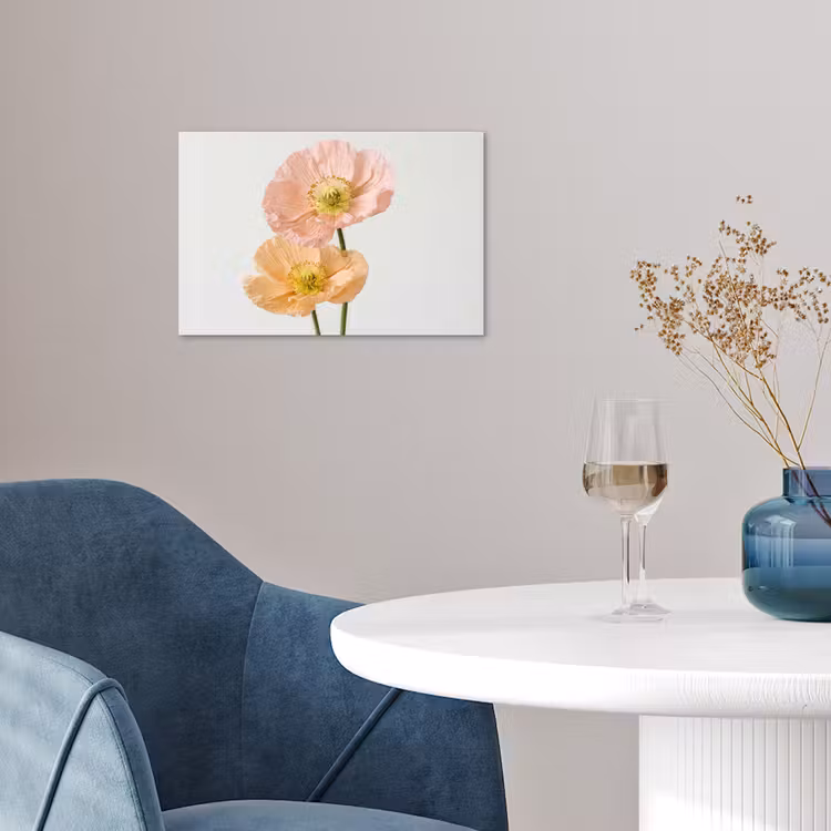 Poster - Papavers - Botanisch - Roze — 4
