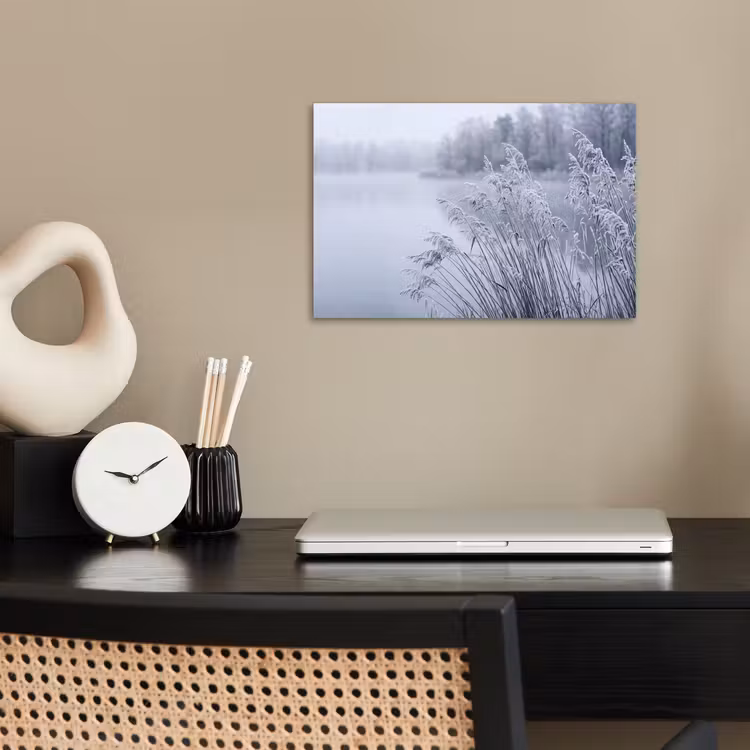 Poster - Riet - Bevroren - Winter - Natuur — 2