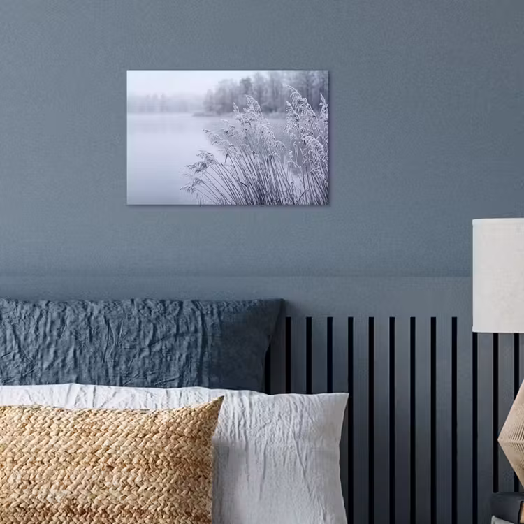 Poster - Riet - Bevroren - Winter - Natuur — 3
