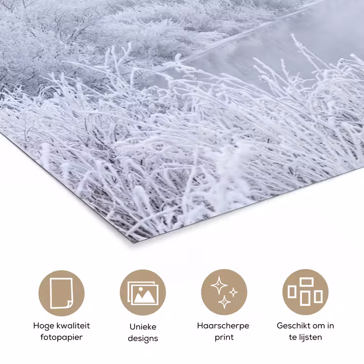 Poster - Rivier - Sneeuw - Bos - Winter - Schilderachtig — 5
