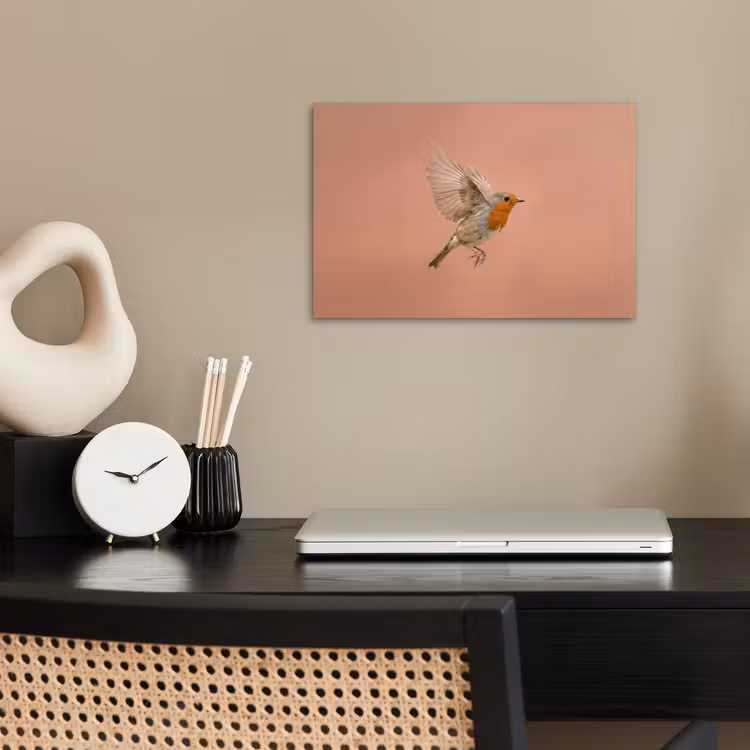 Poster - Roodborst - Natuur - Roze — 2