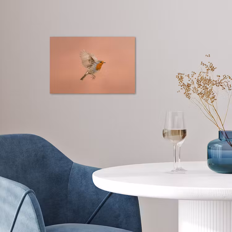 Poster - Roodborst - Natuur - Roze — 4