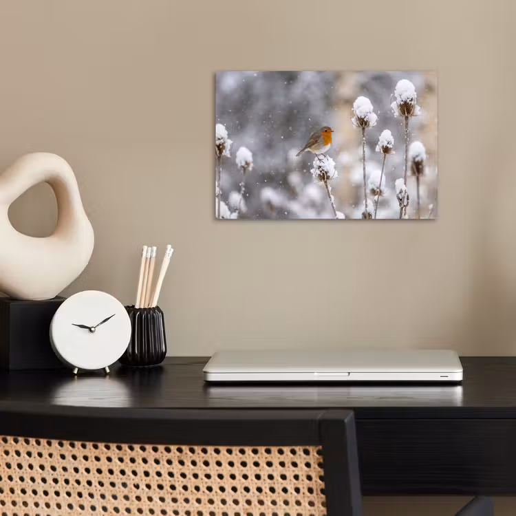 Poster - Roodborstje - Gedroogde bloem - Sneeuw - Winter - Vertederend — 2