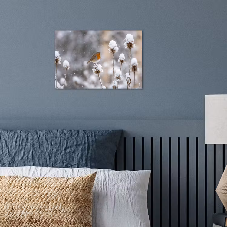 Poster - Roodborstje - Gedroogde bloem - Sneeuw - Winter - Vertederend — 3