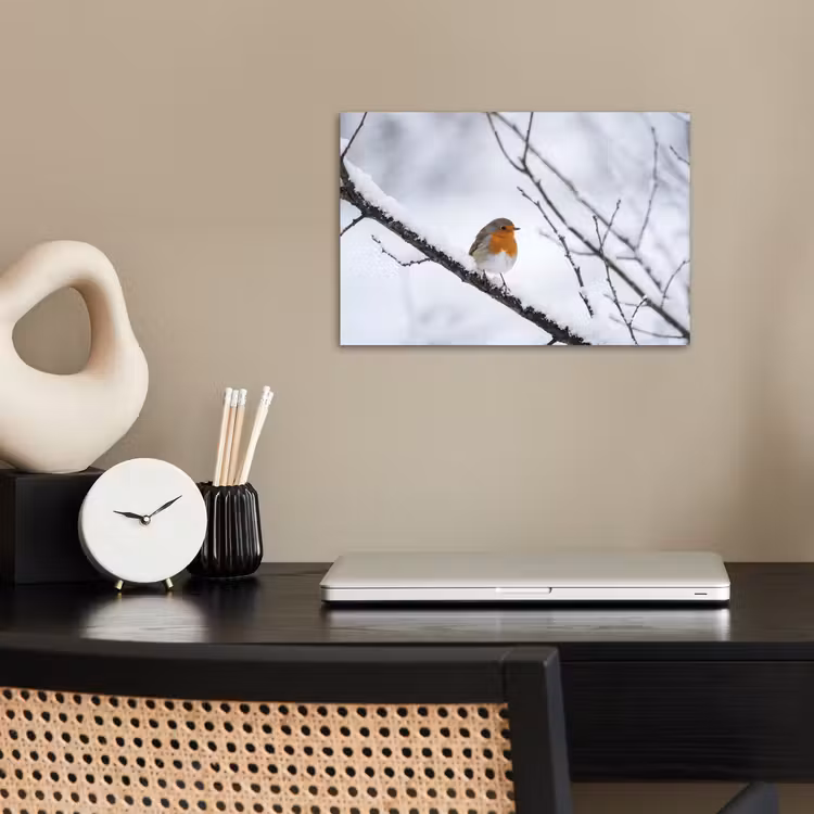 Poster - Roodborstje - Tak - Sneeuw - Winter - Levendig — 2