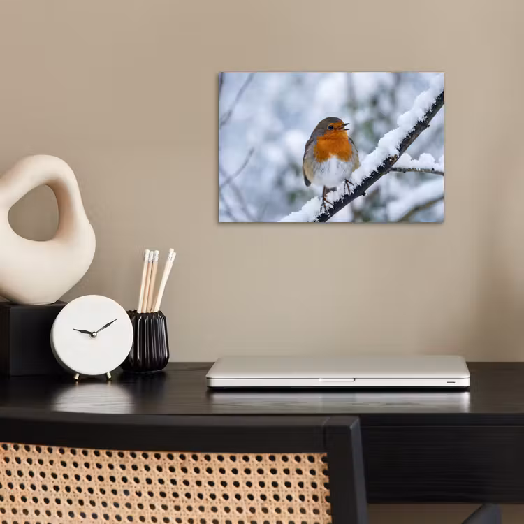 Poster - Roodborstje - Tak - Sneeuw - Winter - Levendig — 2