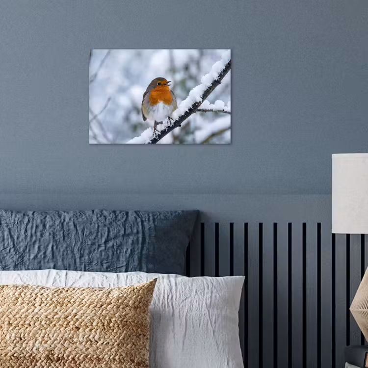 Poster - Roodborstje - Tak - Sneeuw - Winter - Levendig — 3