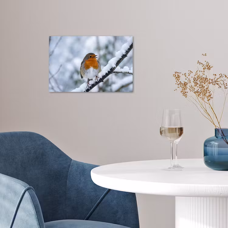 Poster - Roodborstje - Tak - Sneeuw - Winter - Levendig — 4