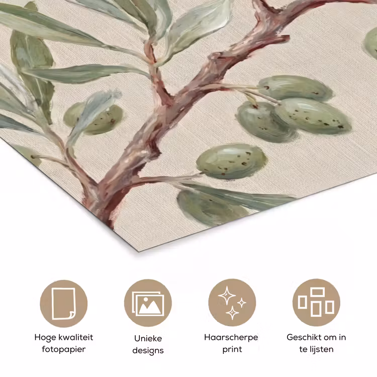 Poster - Olijftak - Bladeren - Natuur - Groen - Beige — 5