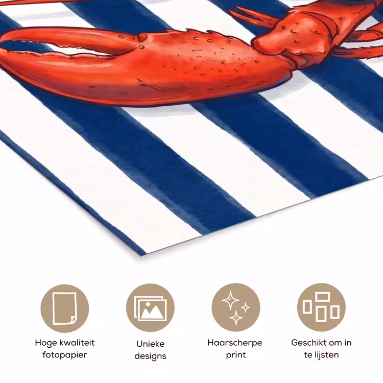 Poster - Schaaldier - Kreeft - Marine - Illustratie - Rood — 5
