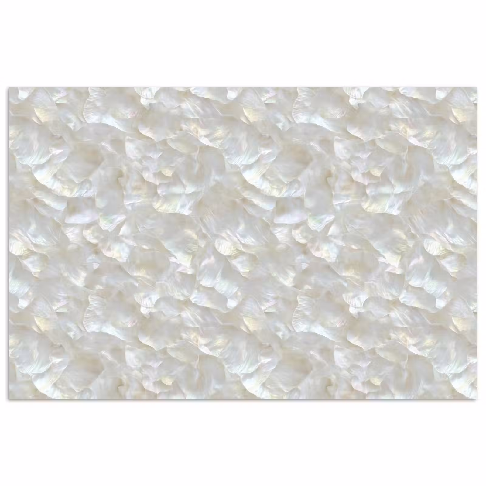 Poster - Parelmoerglans - Wit - Schelp — 1