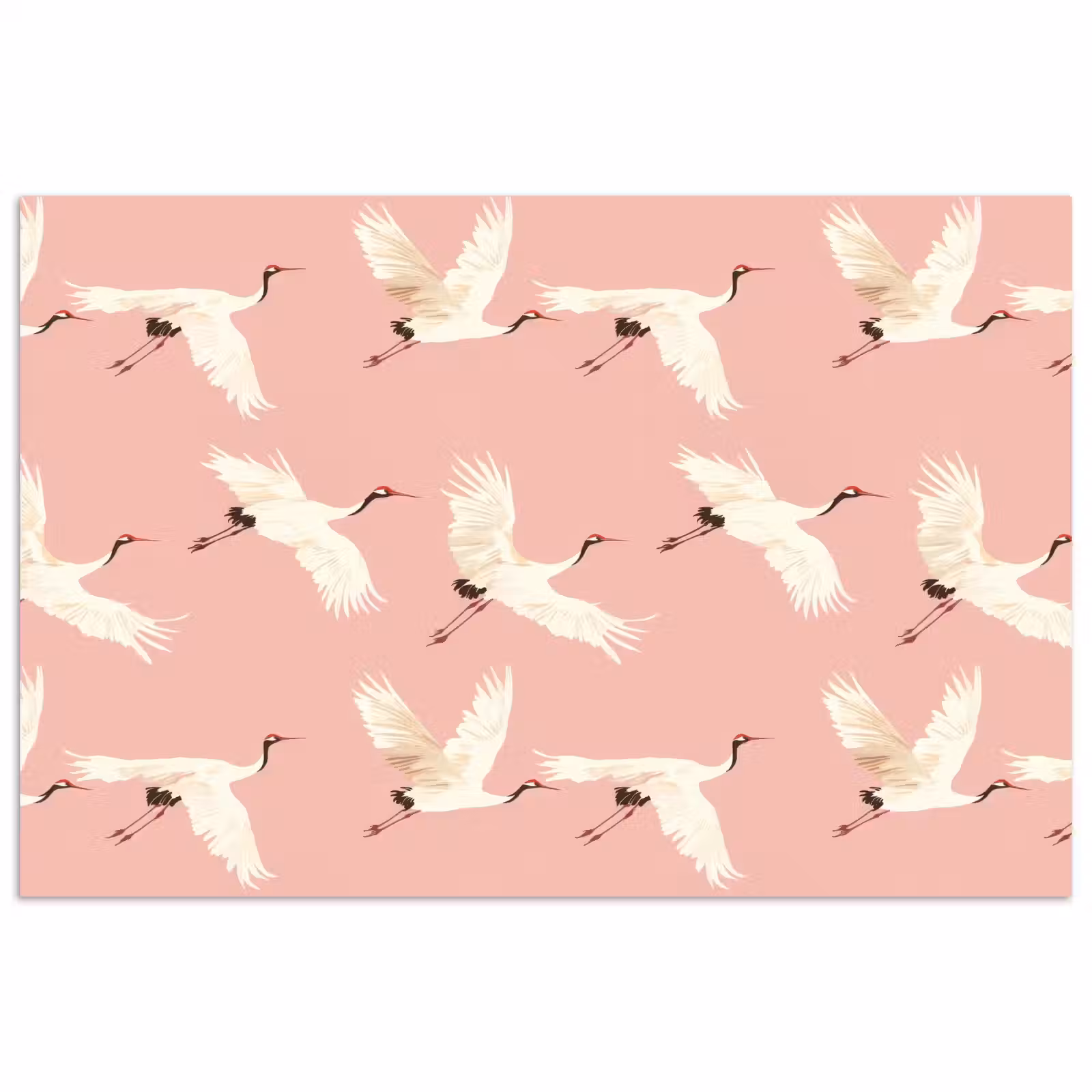 Poster - Modern - Kraanvogels - Roze — 1