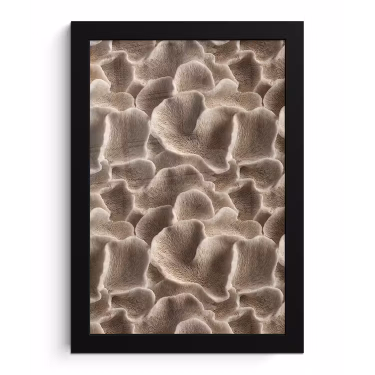 Poster met lijst - Waaiervorm - Beige - Vezel textuur — 1