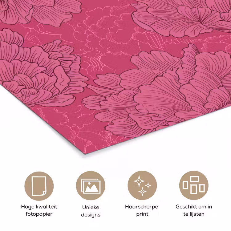 Poster - Pioenrozen - Energiek - Roze — 5